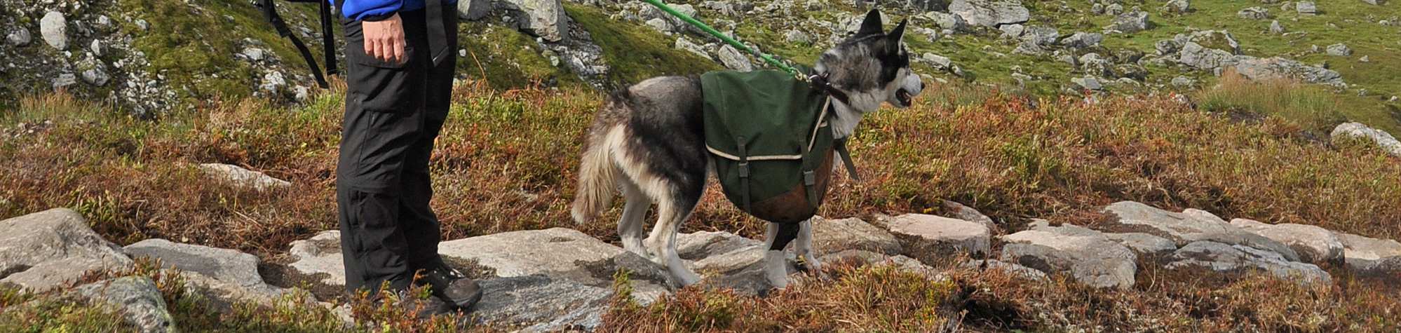 Hver etasje er en halvsirkel med seks plasser.