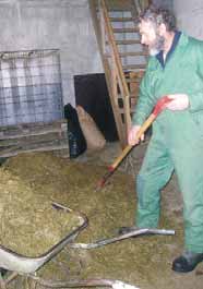 Nyttig til beitesesongen www.presis.no Godt grovfôr etter appetitt, mener Johannes Kjøsnes som her er i gong med fôringa. (Foto: H. Kvamsås) Geitost.