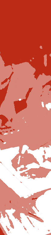 Det har vore arbeidd med fire innsatsområde i kvar kommune; lokalsamfunn, det offentlege (offentleg tenesteyting og administrasjon), næring og skule.