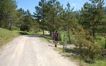 Her står første merkestolpe, og teksten Torrecilla på en stein (4). Følg den gode stien opp gjennom skogen. Stien svinger mot venstre og går nå i en skråning.