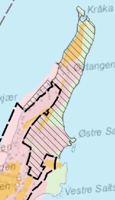 Kråka Østre Saltstein på utsiden av Jomfruland og Vestre Saltstein på Jomfruland Teltforbud anbefales i begge områder som har slitasjesvak markvegetasjon.