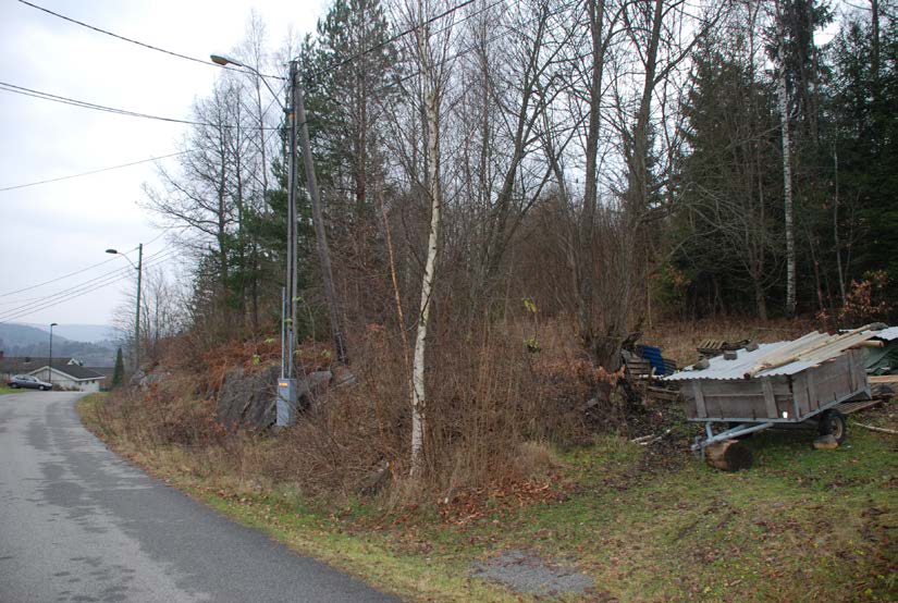 Figur 5. Bilde av planområdet. 3.6. Grunnforhold Fjell i dagen flere steder i planområdet. Løsmassedekke antas å være tynt. 3.7. Miljøbelastninger Det er ikke kjennskap til forurensning i grunnen.