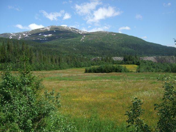 Tekniske installasjoner i høyereliggende områder (Ytterdalen og Kvannvatnet) kan skremme simlene føre til at de ikke bruker områder som har høy kvalitet som kalvingsland.