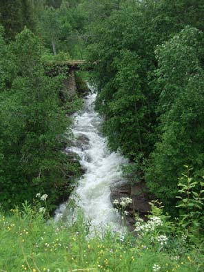 Det er mange tekniske inngrep i delområdet (E6, jernbane, boligbebyggelse, veier, landbruk m.m).