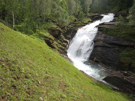 Bilder fra delfeltet