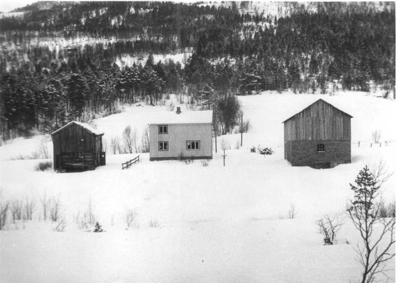 I 1940 kom Haakon, sonen til Dorthea og Johannes heim og tok over småbruket. Han hadde med seg kona si, Ruth som han hadde treft på Tjøtta. Dei hadde med seg gutane Sverre og Olav.