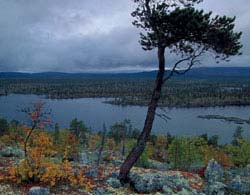 Dette er områder som regnes som ømfintelige for inngrep. Disse områdene må anses å ha nasjonal eller høy regional verdi og vil slik normalt være uaktuelle for vindkraftutbygging.