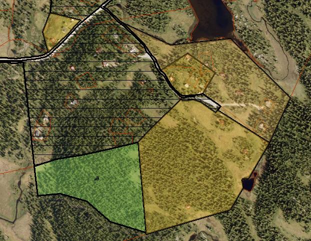 103. Liamarka (Mortetjernhaugen) LNF og fritidsbebyggelse LNF og fritidsbebyggelse 56 daa til fritidsbebyggelse Småkupert fjellskog ca. 940 moh. Området grenser inntil reguleringsplan og byggeområde.