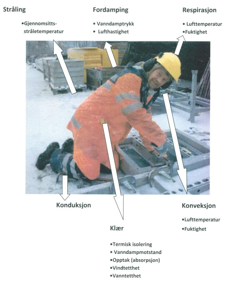 7 ganger den normale varmeproduksjon man har i hviletilstand. Skjelvingen vil i økende grad oppleves som ubehagelig og vil være en sterk stimulus til adferdshandlinger for å forbedre situasjonen.