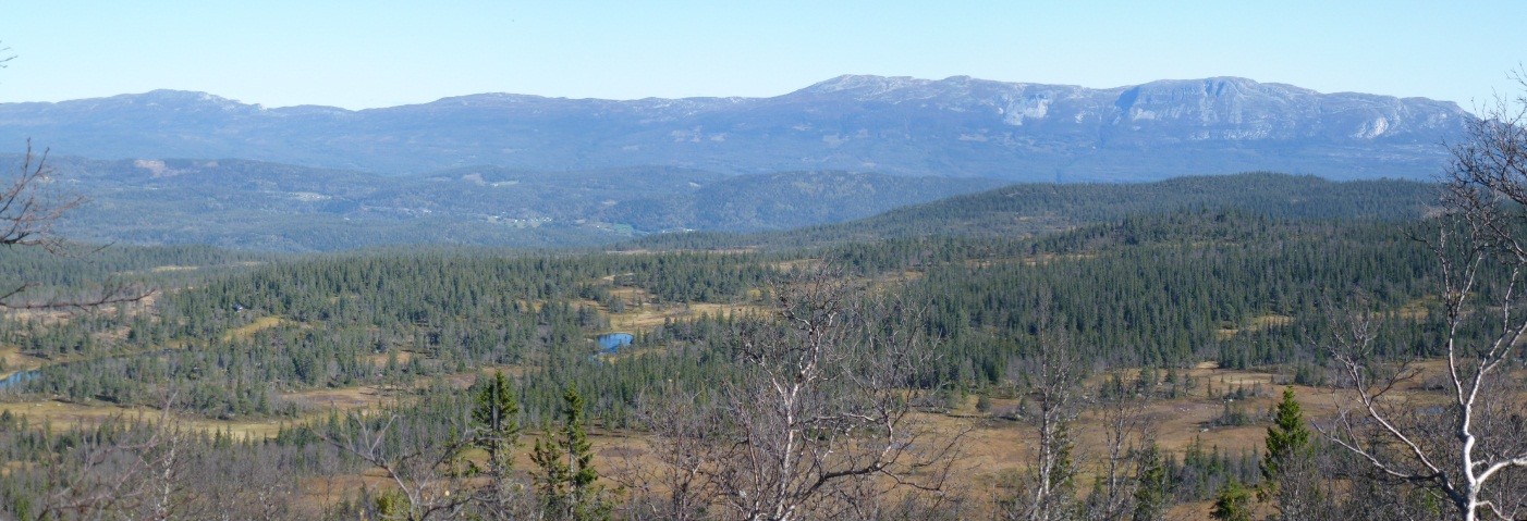 Utbyggingsområdet er lokalisert på en lav rygg som strekker seg nordover på østsida av dalrommet. Foreslått bebyggelse er lagt i skogbeltet, og har ryggdekning av åsen bak seg opp mot Storefjell.