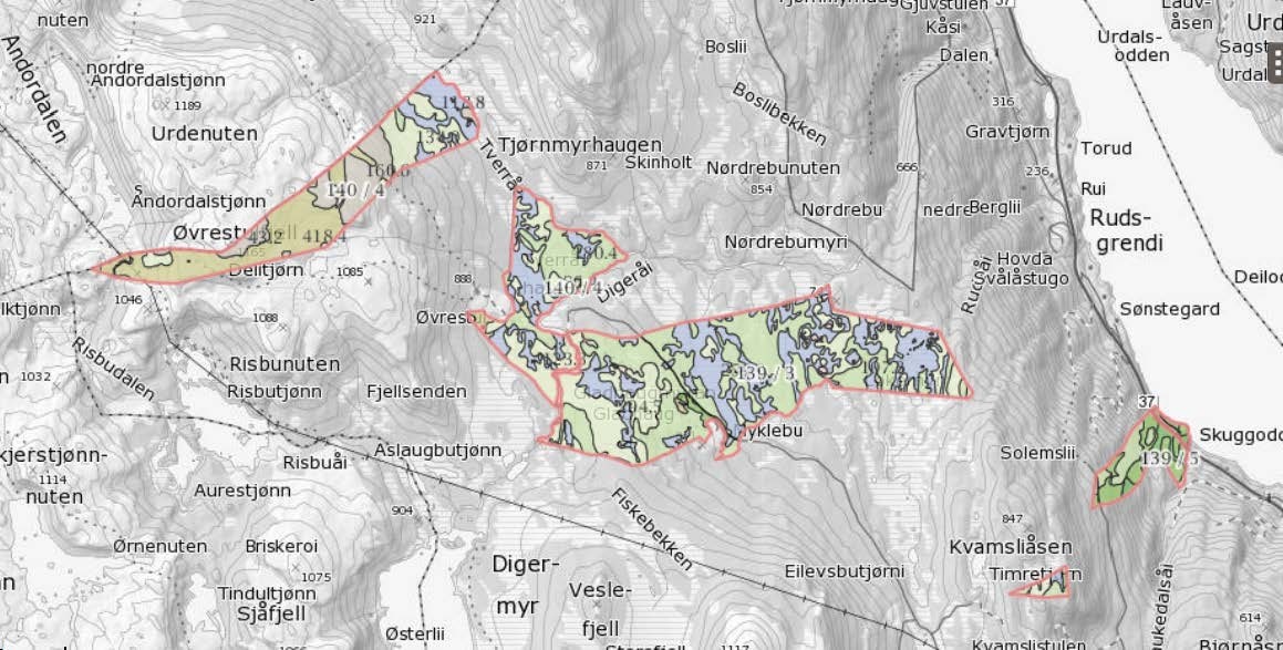 0 SAMMENDRAG Etter en gjennomgang av planmaterialet finner rådmannen å kunne anbefale å legge planen ut til offentlig ettersyn i to alternativer hvor det ene er i tråd med forslagstillers forslag, og