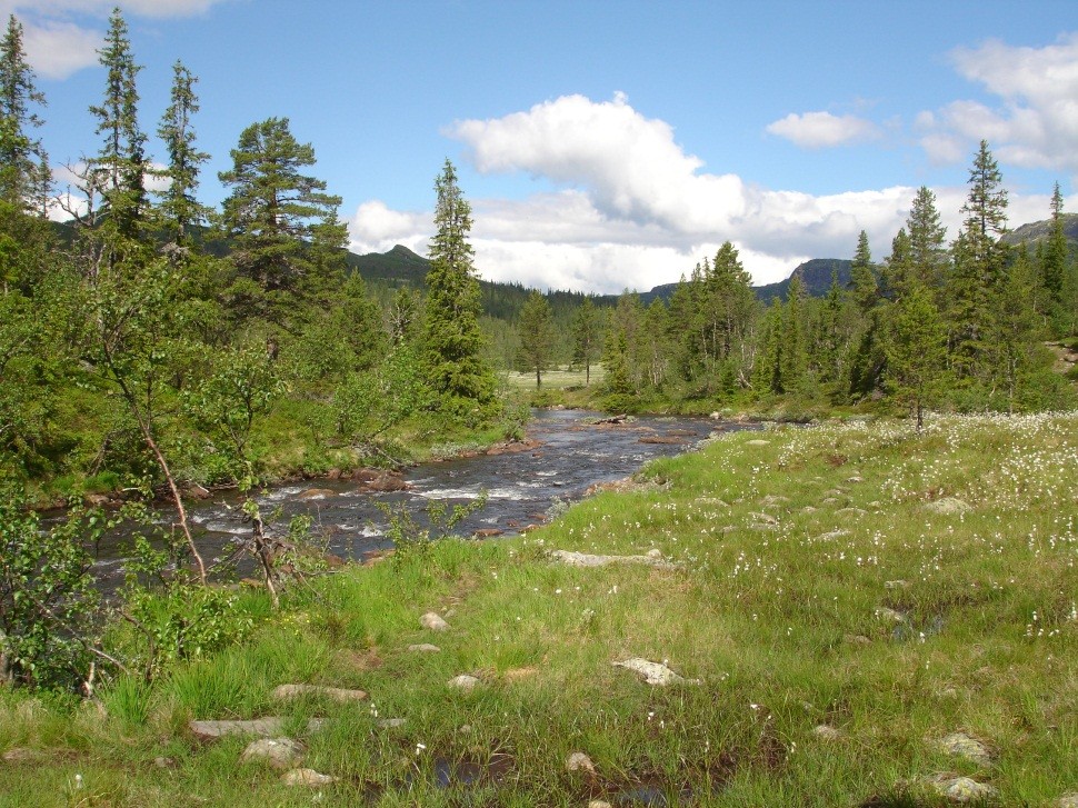 Geologi og berggrunn Området hører til den delen av det sørnorske grunnfjellsområdet som kalles Rjukangruppen.