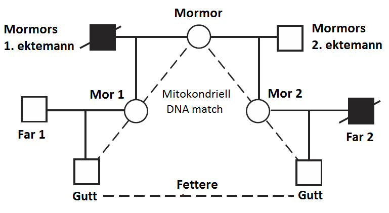 PÅ JAKT ETTER MIN FAR Hensikt Hensikten med forsøket er å utvikle en grunnleggende forståelse for DNA fingeravtrykksanalyser og deres bruk til å identifisere slektskap mellom personer.