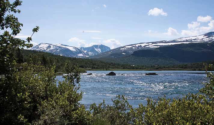 november 1966, Oppland naturvern Første leder: Alv Kveberg, fylkesidrettskonsulent vernere for Norges største naturinngrep med kraftutbygging i Jotunheimen/ Breheimen.