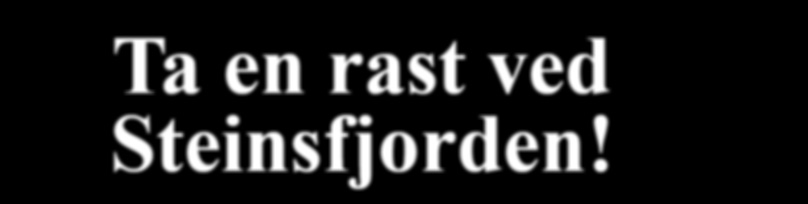 Barna må gjøre alt selv, de voksne har ikke lov å gi tips om antall bom, strafferunder og runder i løypa. Da blir barna disket.