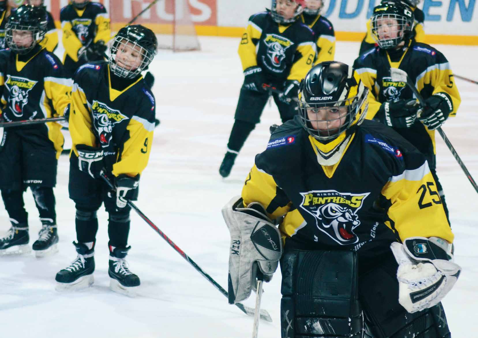 Aktiv på RINGERIKE RINGERIKE PANTHERS!