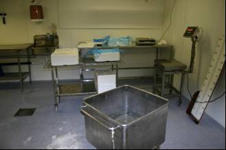 Bilde 1 Lakebehandlingen av filetene ble utført i stålkaret i