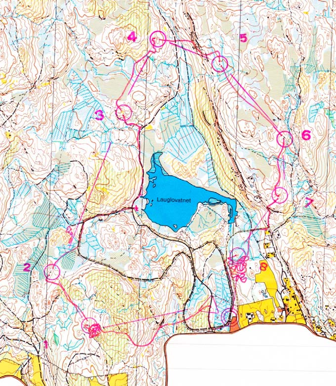 som en forvirra vegglus. Inn i skogen for å se etter posten og deretter ut på stien for å prøve på nytt og på nytt og på nytt.