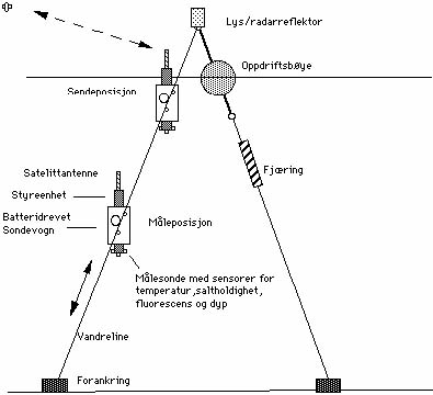 seg fortere enn hva passive drivlegemer klarer; uten at de derved bruker mer dyrebar energi fra indre batterier. Dette har ledet til utvikling av noe som nærmest må kalles undervanns glidefly.