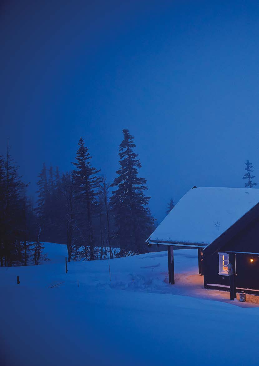 LED PÅ HYTTA: FOR MODERNE OG KLASSISKE FRITIDSHUS Unilamp har det moderne lyset som passer i nye og klassiske hytter. Her får du det varme LED-lyset som gir den ekte hyttefølelsen.