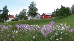 Bolyst i hele kommunen Venstre ønsker å utvikle bærekraftige lokalsamfunn gjennom bl.a. å legge til rette for å utvikle attraktive og varierte boområder.