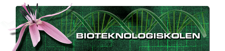 Eksempel film og animasjon 10 filmer om bioteknologi bioteknologiskolen.no Manus! 1. Bioteknologi: En kort introduksjon (10:59) 2. Arv og avl: Når to blir en (12:33) 3.