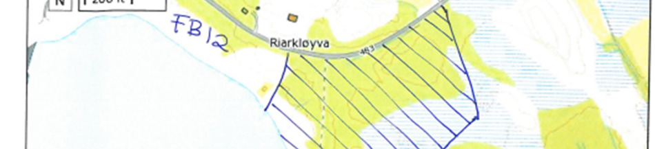 Langs stranda er det mest vegetasjon med strandgress, men i nordlige del vokser en del tre og buskvegetasjon. Selve Lendavikodden er et markert svabergområde.