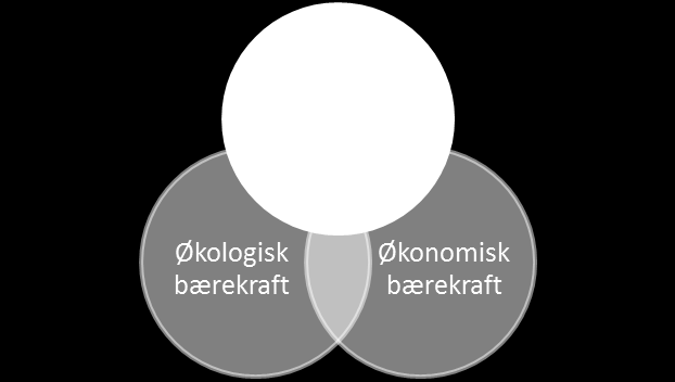 De politisk fastsatte rammevilkårene er resultatet av myndighetenes styringsforsøk, og kan betraktes som et forsøk på å balansere flere legitime samfunnsmessige hensyn mot hverandre.