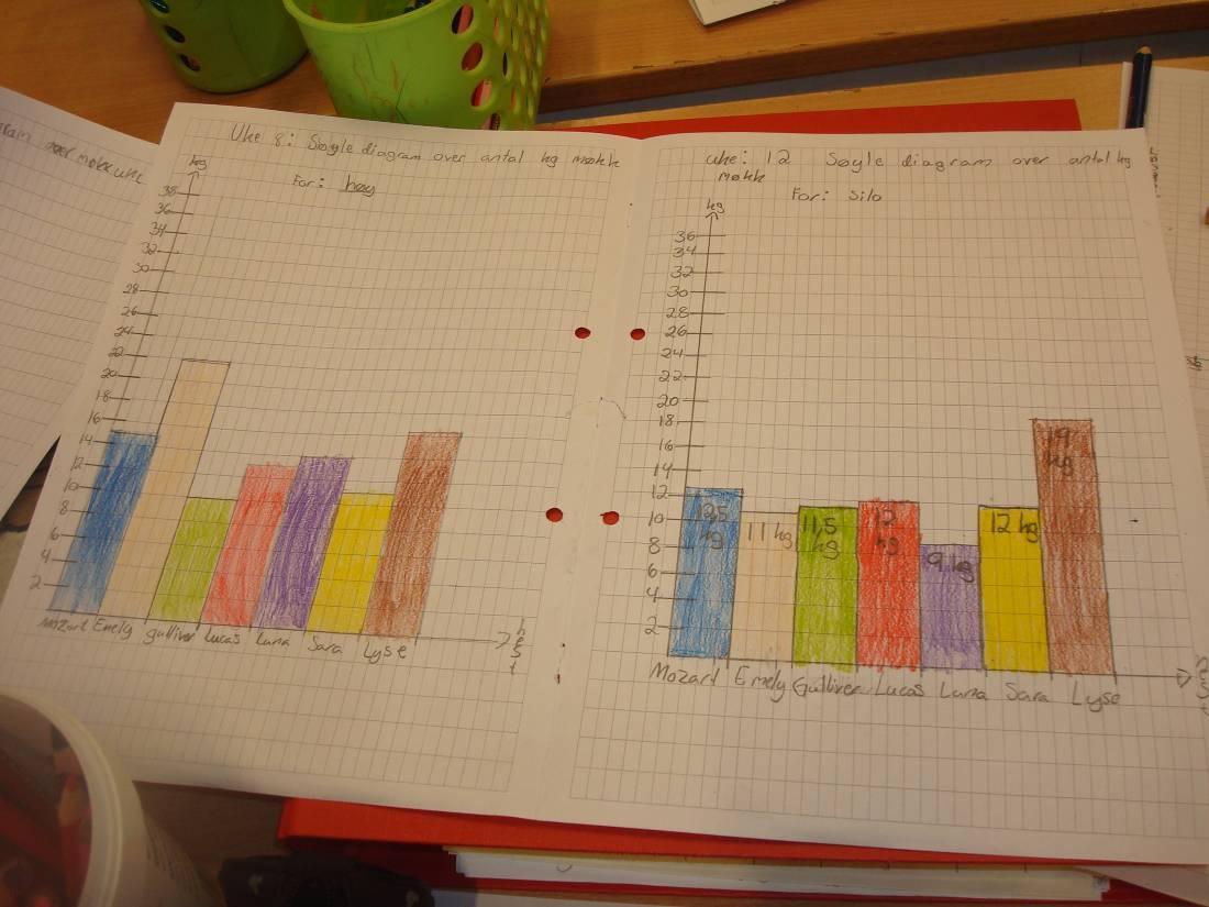 Arbeid med søylediagram og tabeller For hvert besøk på Nybrot der vi har veid opp og registrert antall kilo møkk på de hestene vi har forsket på, har elevene laget søylediagram.