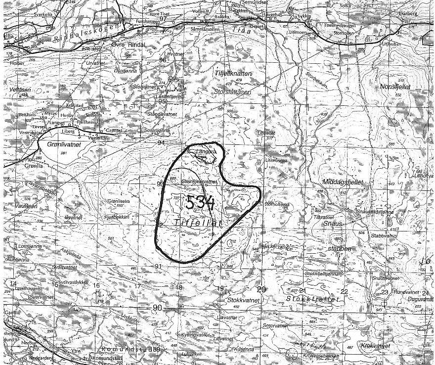 Lok. nr. 534 Tifjellet Viktig: B Naturtype: Kalkrike områder i fjellet Utforming: Tilstand: Intakt Undersøkt: Bodil Wilmann, feltarbeid 1977-78 og en rekke turer fram til i dag, samt EBe 03.08.