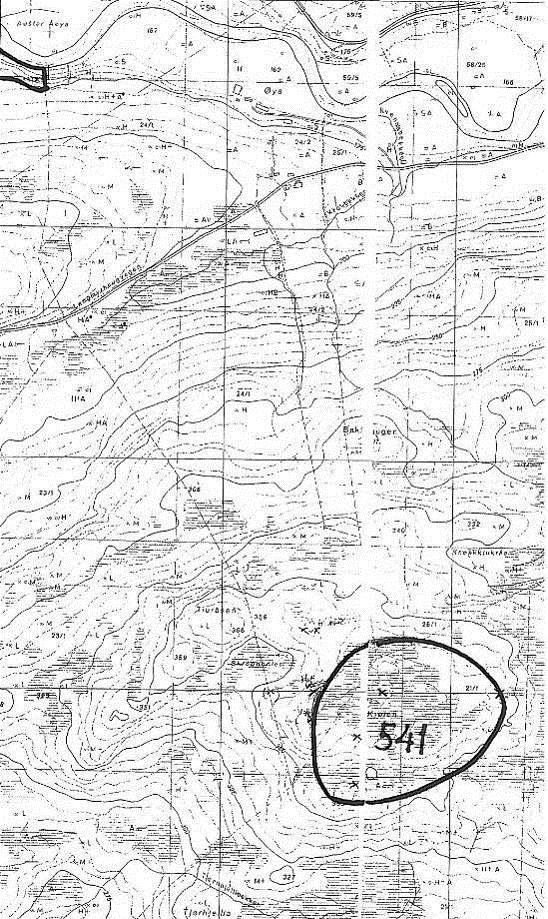 Lok. nr. 541 Kjølen (Tiuråsen) Svært viktig: A Naturtype: Kystmyr Utforming: Terrengdekkende myr Tilstand: Intakt Undersøkt: 08.09.