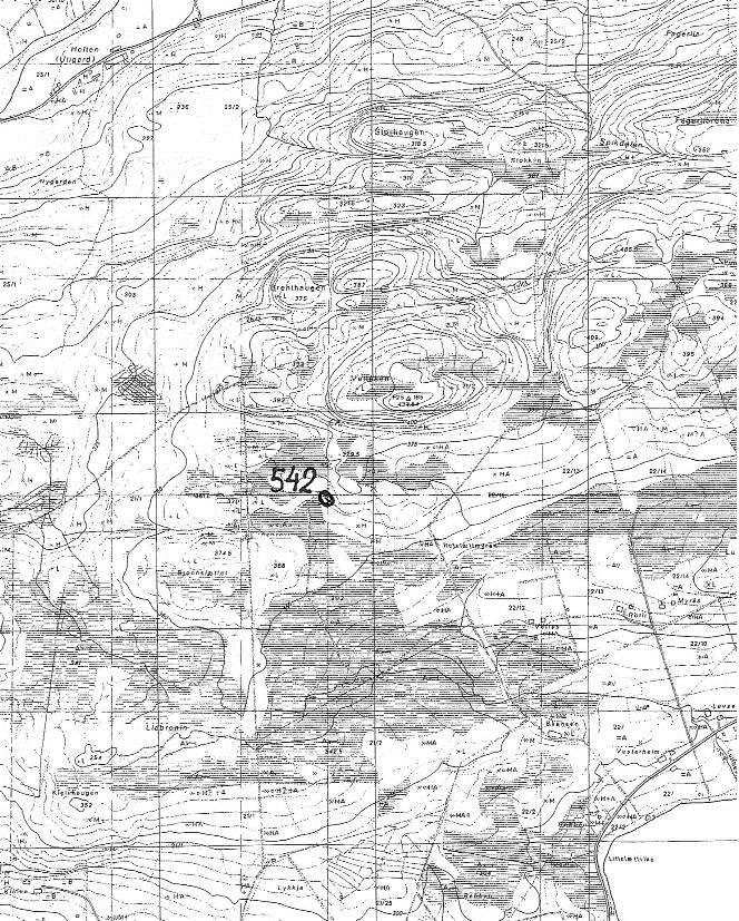 Lok. nr. 542 Vettåsen Lokalt viktig: C Naturtype: Utforming: Kalkskog Frisk kalkfuruskog Tilstand: Intakt. Området har høyst sannsynlig vært tidligere beitet.