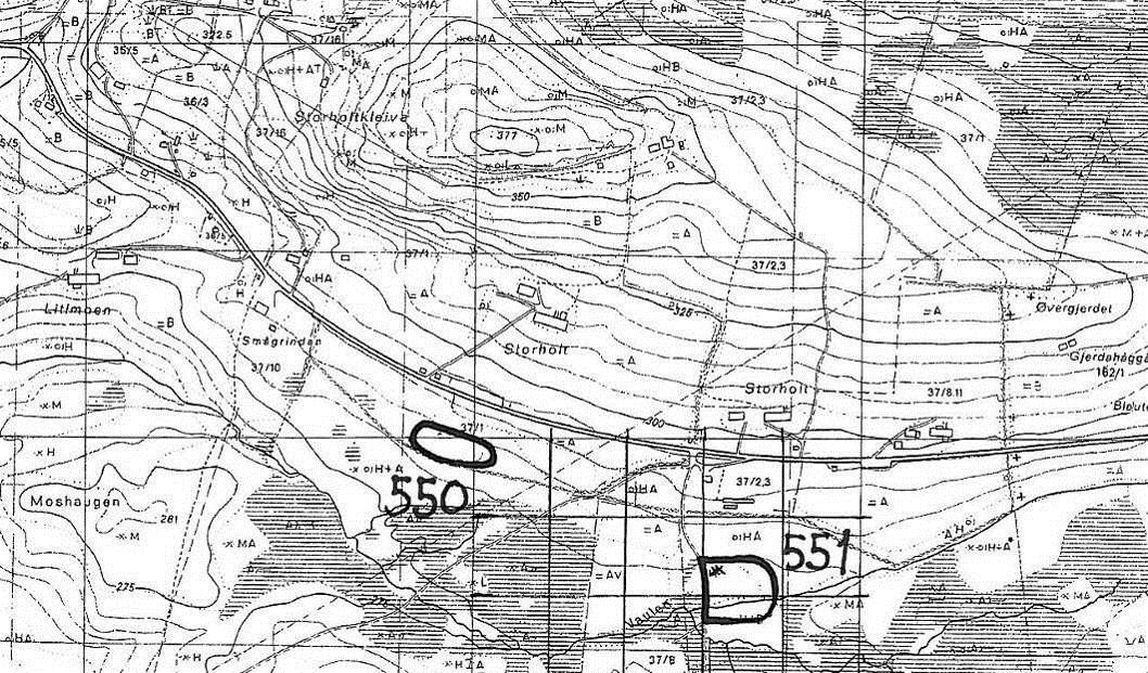 Lok. nr. 550 Storholt SV Lokalt viktig: C Naturtype: Gråor-heggeskog Utforming: Tilstand: Representerer bortsett fra eventuelt en kjerne, en yngre lauvsuksesjon. Undersøkt: 19.09.