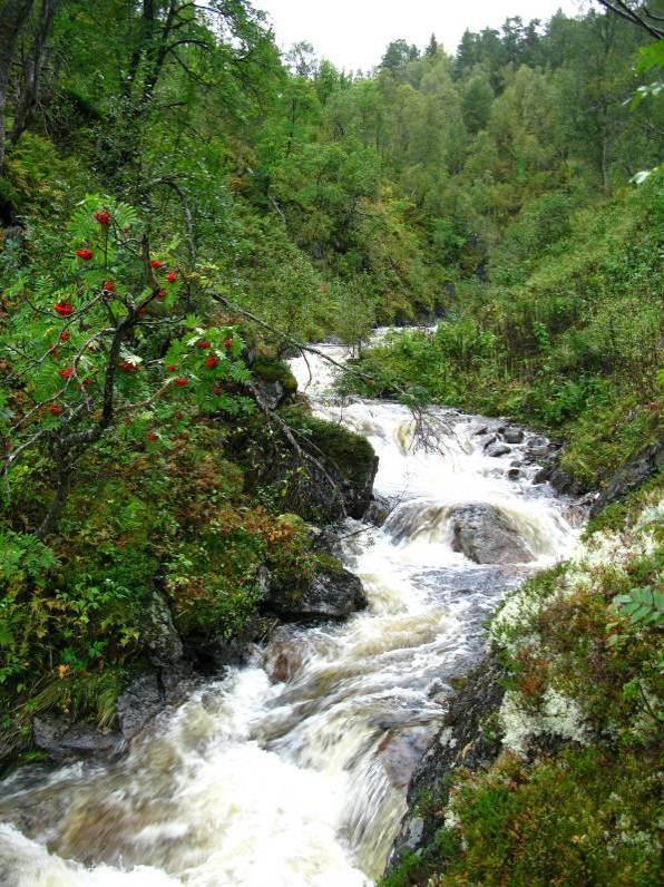 Som følge av topografi og vanskelig tilgjengelighet er den i stor grad lite påvirket