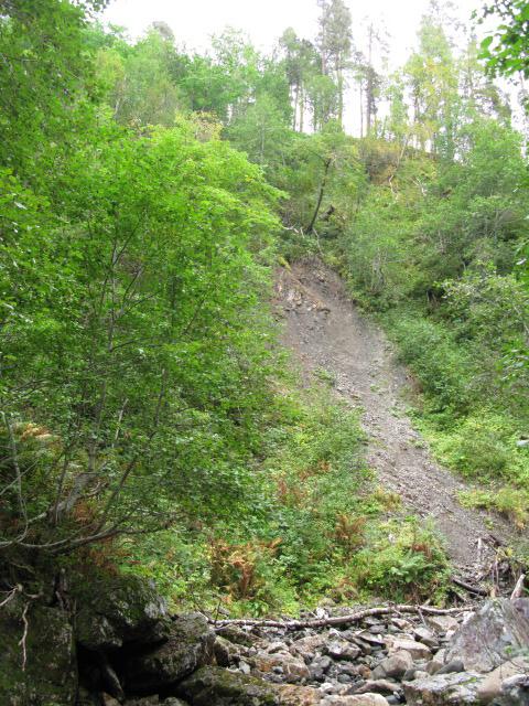 Flommarksskog 20 Sørvendt berg og rasmark Kalkrike og/eller sørvendte bergvegger