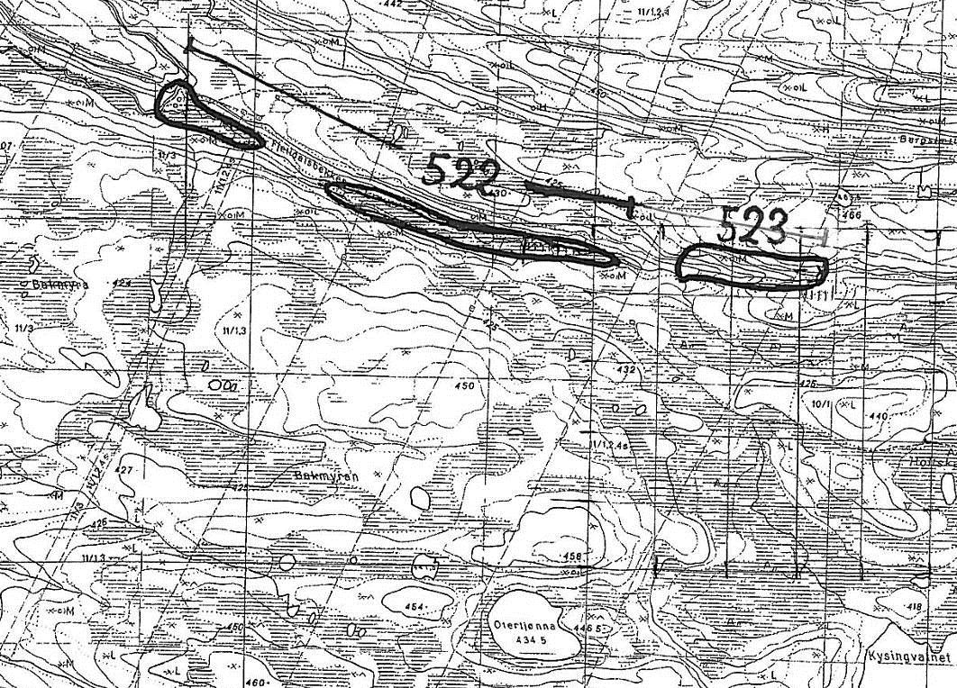 Lok. nr. 522 Fjelldalsbekken Lokalt viktig: C Naturtype: Rikmyr Utforming: Rik (inkl.