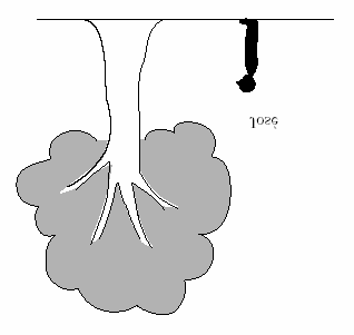 36 Hvor høyt er treet? (Tall, -95) L8 Rune Rune er 1,5 m høy. Omtrent hvor høyt er treet? A. 4 m B. 6 m C. 8 m D. 10 m 37 Hvilket av tallene?