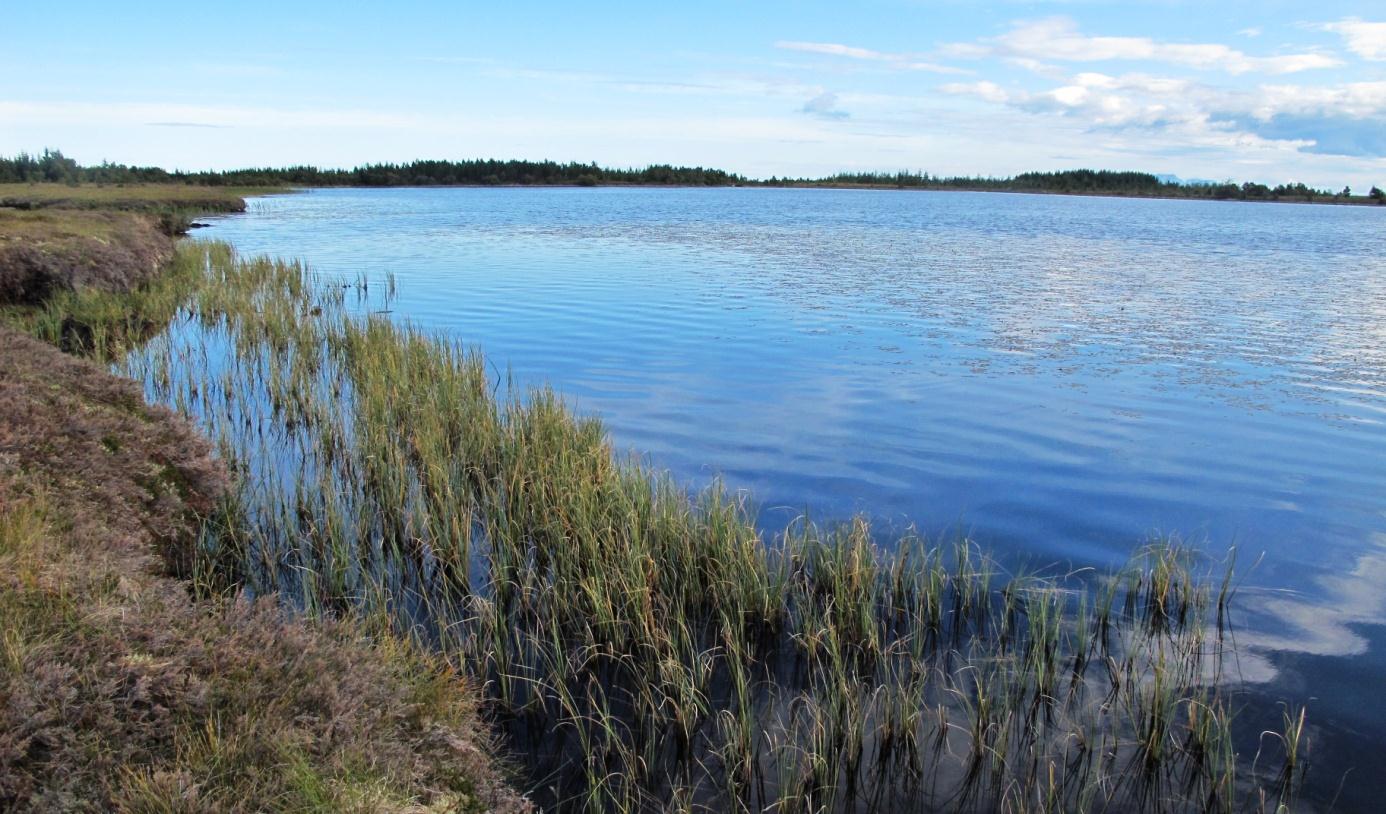 28. KARBUVATNET (Vega) Status: Oligotrof, kalkfattig og humusrik sjø. Verdi: Ikke verdivurdert Lok.