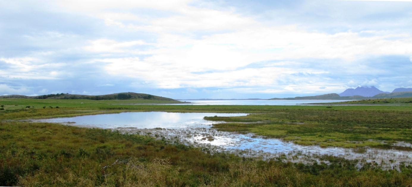 Figur 65. Storvollhalsen fra øst. Foto 21.8.2014. Lokaliteten ligger i et større inngjerdet beiteområde, noe som betyr at vegetasjonen er sterkt nedbeitet og nedtråkket.