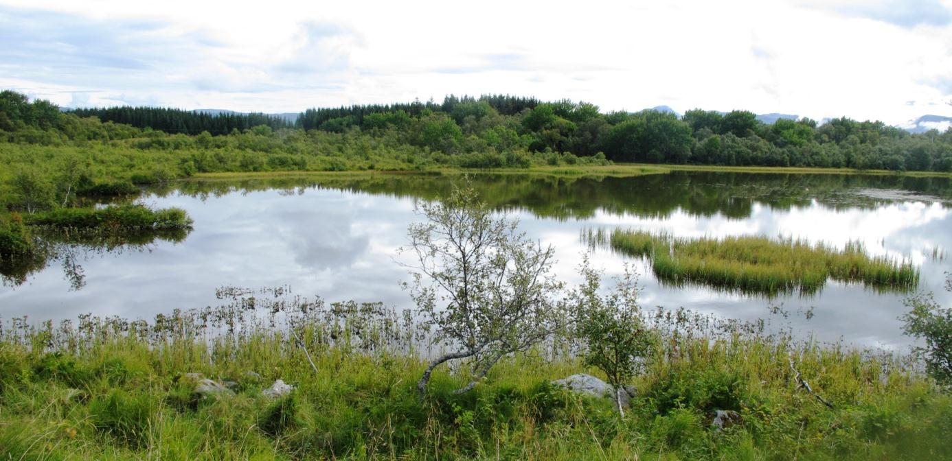 Figur 67. Kråkvikvatnet fra veien som går langs vestre del av vannet. Foto 21.8.2014. Kråkvikvatnet er en stor, flott kransalgesjø (E0701) omgitt av løvskog, og en vei langs vestsiden.