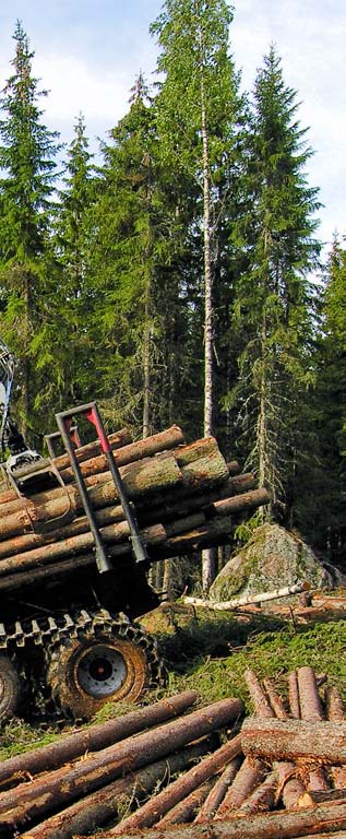 Foto: Komatsu Forest AS For alle kommuner i Hedmark har skogen, og videreforedling av skogressurser, stor betydning og lange tradisjoner.