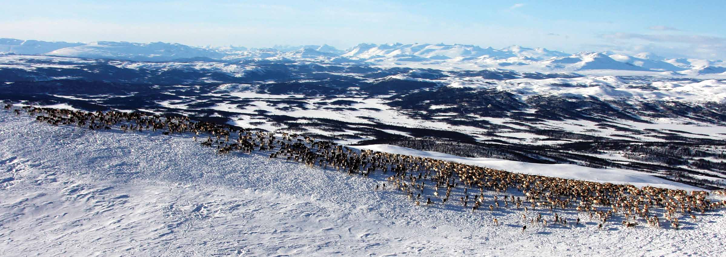 Opplevelsesriket Ikke mange skritt fra Langsua Nasjonalpark møter du Gamlestølen i all sin stolte prakt. Her har mang en turgåer på oppdagelsesferd styrket seg med den berømte lokalmaten.