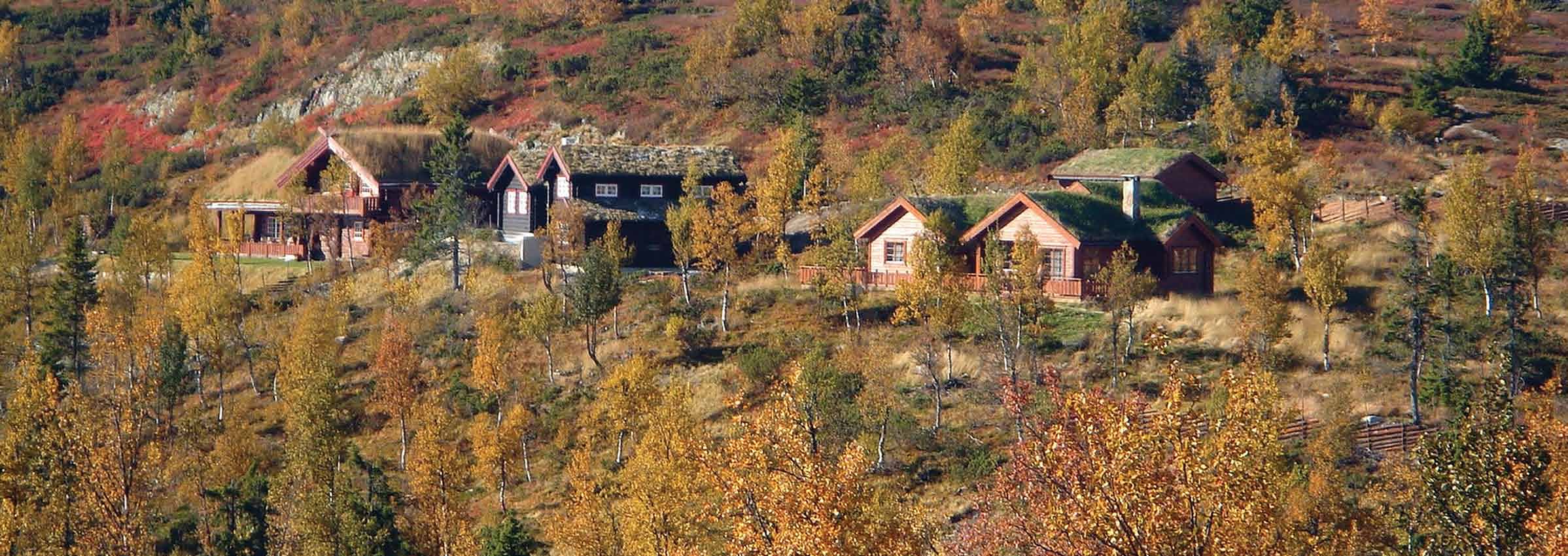 Fargeriket Fjellet er naturens magiske fargerike. Her spiller naturens eget teater forskjellige forestillinger hver eneste morgen, dag, kveld og natt hele året.