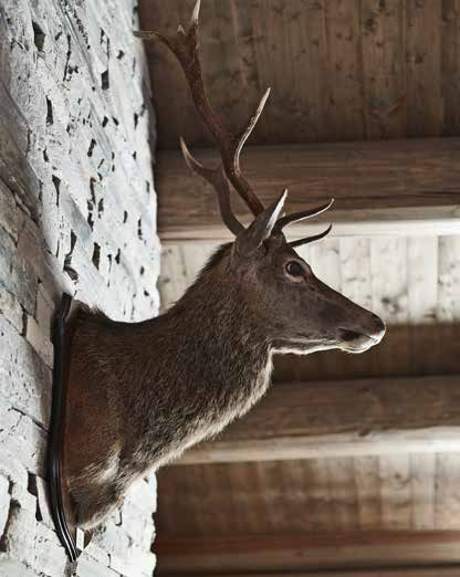 peisveggen i den høyloftede fjellhytta. 2.