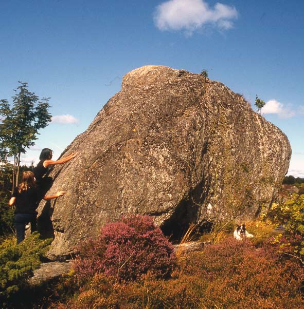 Den tredje og siste steinen kom skeivt av gårde og havnet på Bergeland ved Hetlandskirken. Naturvernforbundet skal registrere kampesteiner i Stavanger og trenger publikums hjelp.