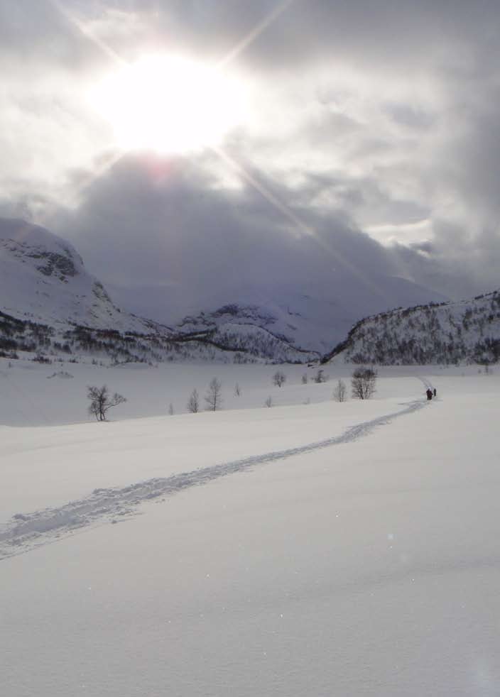 Vintertur Mjølfjell, mars 2011 Speiderturene er en av arenaene der speiderne i et trygt