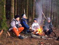 Området tilhører en av gårdene i Oppetveiten og selve stølen ligger som en lysning i skogen ved