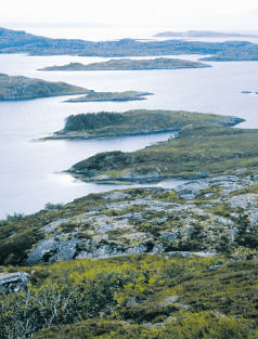 vatnet blir erstatta av kraftgater, steintippar og riksvegar som et seg innover vidda. Naturgleda blir som regel svekka når landskapet mistar sitt preg av å vere urørt. 2.7.