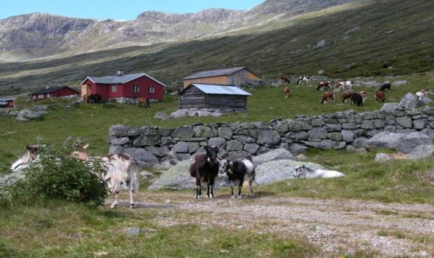 NATUR OG KULTURARV SKAPER