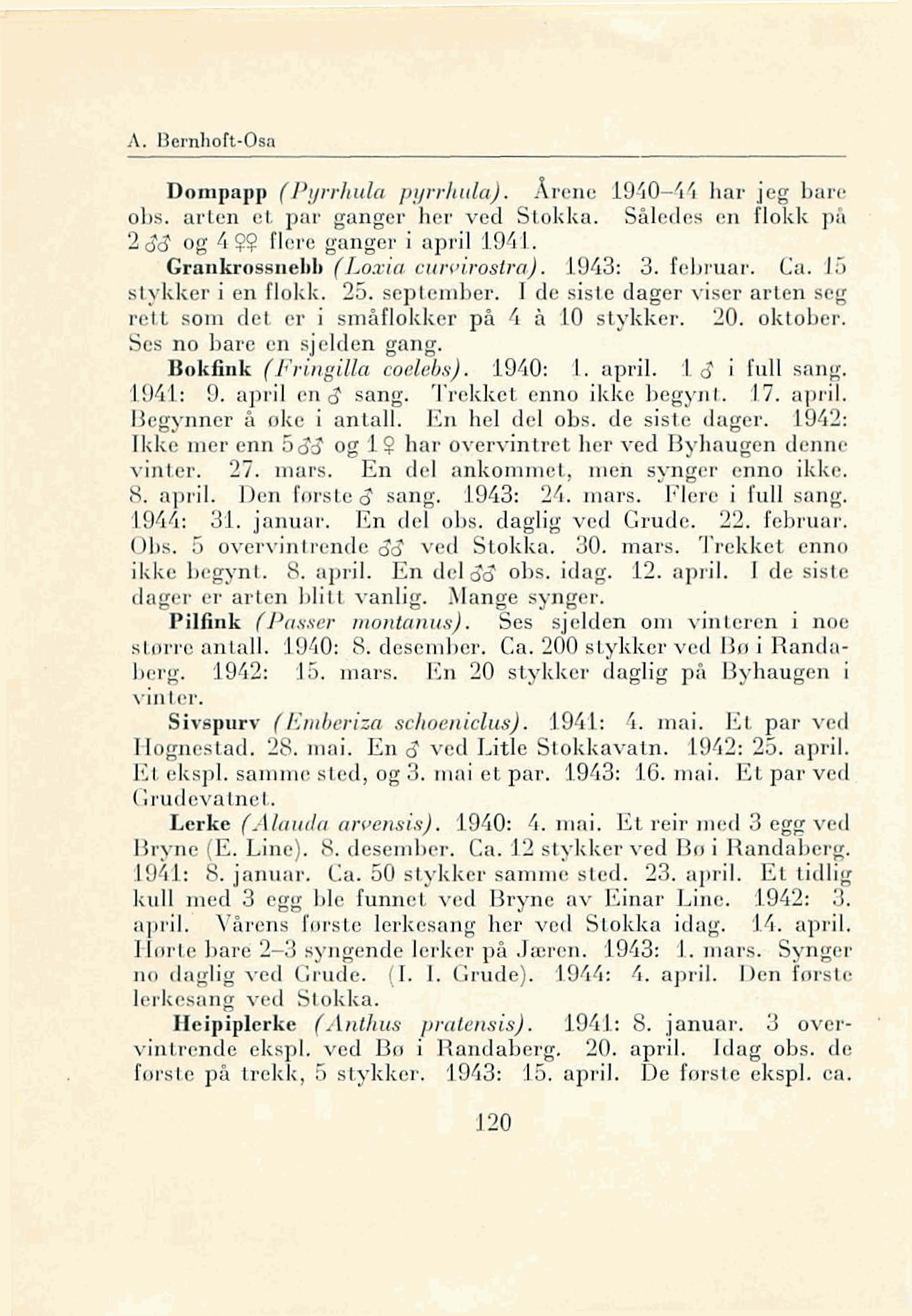 A. 8 mhoft -Osn Dompapp ( PYr/'hula pyrrlwla). U. a rlen L PUl' gang r h f' ved L kk... 0'0' 0 0 L~ ~~ fl cl' gang l ' i apj'i I 19Ld, Grankro Il hb (Loxia. stykk l' j en fl kk. 2-.